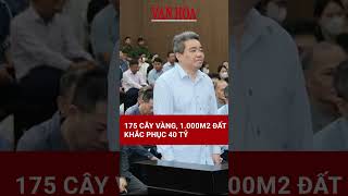 Vụ án Nguyễn Văn Dân: Xin bán vàng và đất nộp tiền khắc phục hậu quả | Báo Văn Hóa