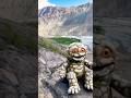 #mountains #nature #travel #plantation #beautiful #stone made frog 🐸 on the mountain ⛰️ with ai 🤖
