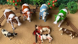 Wadidau...!!! Proses Potong sapi Qurban IdulAdha | Oleng Tejo #sapi