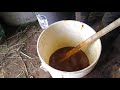 Elaboración de alimento fermentado para pollo de engorde (vídeo 2)