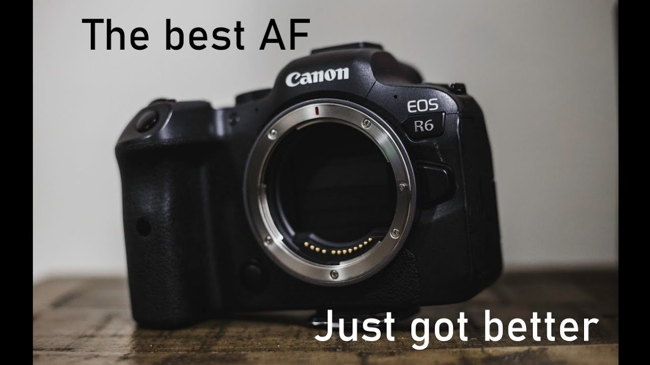 Canon R6, R5, EOS R AF settings to NEVER MISS ANOTHER SHOT YouTube