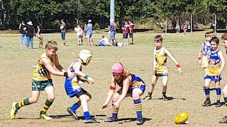 AFL - Rd 14 Jindalee Jags v Kenmore Bears U10s - 18/8/18