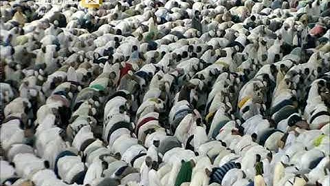 صلاة العشاء السبت 20-2-1441هـ الشيخ ياسر الدوسري - من سورة الكهف