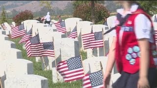 Flags at VA Cemetery in Dixon