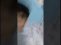 لاني شيخ ولا حجي ربعي لعيبه ببجي