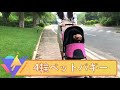 ペットカート ペット用 4輪 カート おでかけ 通院 旅行 バギー 犬 キャリーカート 猫用 折り畳み  簡単 組立 飛び出し防止 後輪ブレーキ付 コンパクト 軽量 介護用 補助介護 散歩 老犬