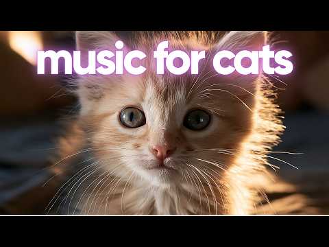Beautiful Relaxing Music for Cats 🐱🎶 A Peaceful Soundtrack for Your Feline Friend