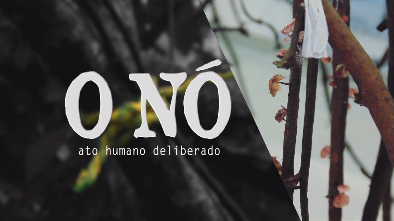 Documentário: "O nó" Ato humano deliberado na região Sul da Bahia em ...