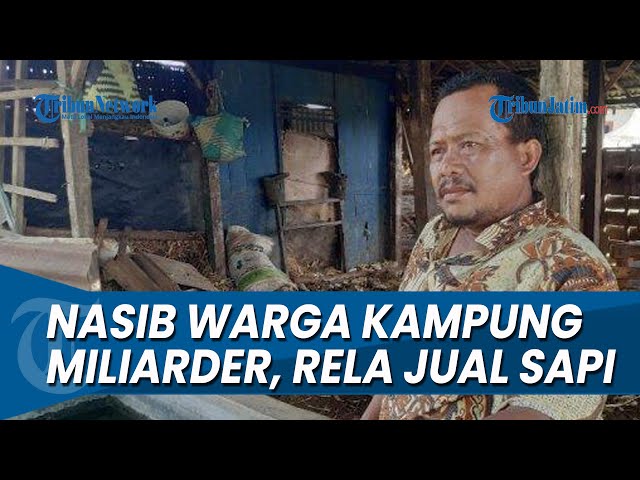 WARSONO HARUS JUAL SAPI UNTUK BERTAHAN HIDUP, Nasib Kini Warga di Kampung Miliarder Tuban