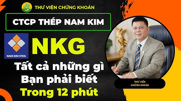 Cổ phiếu NKG - Hiểu rõ về cổ phiếu công ty thép Nam Kim - Phân tích tiềm năng và định vị cổ phiếu