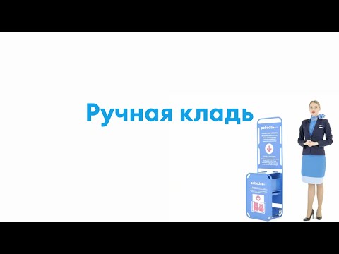Ручная кладь