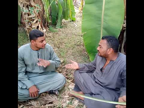 كل واحد يخلي باله من نفسه