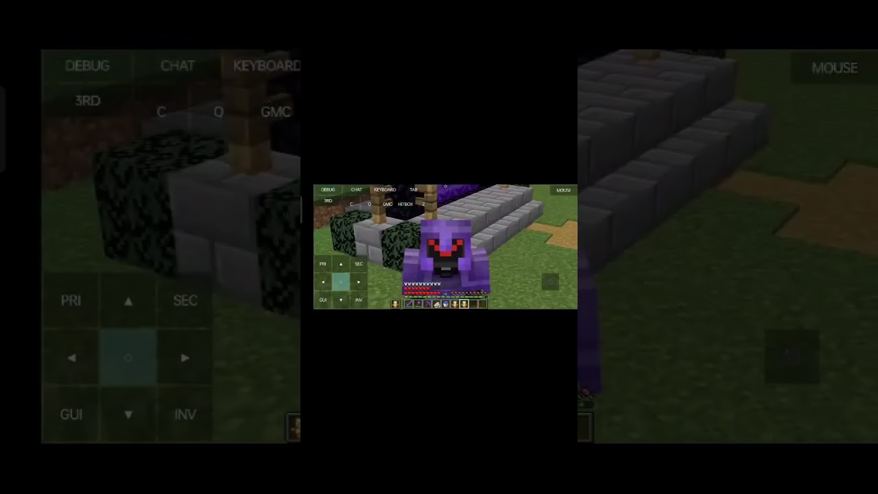 Lifesteal smp 1.16.5 ip is in discription pojav launcher