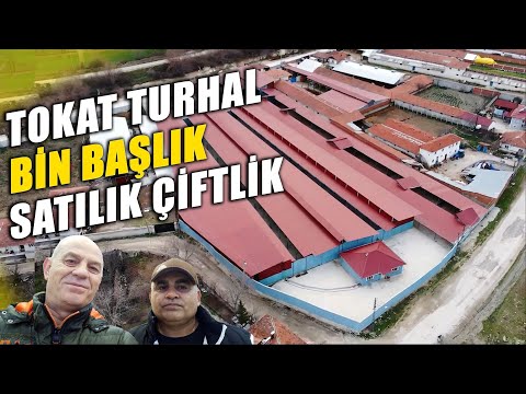 ÇİFTLİK ALACAKLAR BU VİDEOYU KAÇIRMASIN !!!