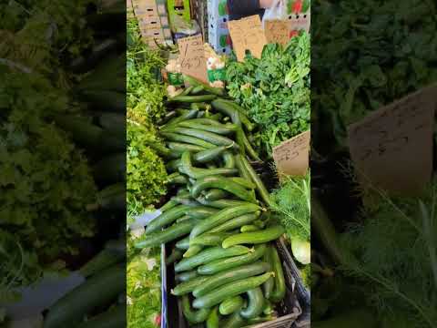 Wideo: Torontoński rynek Kensington: kompletny przewodnik
