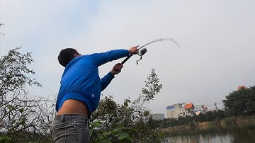 Lần đầu tiên thấy có người câu cá Nheo bằng mồi câu này?