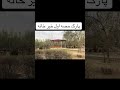 پارک حصه اول خیرخانه