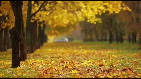 ( أفلا يتوبون إلى الله ويستغفرونه ) ما تيسر من سورة المائدة