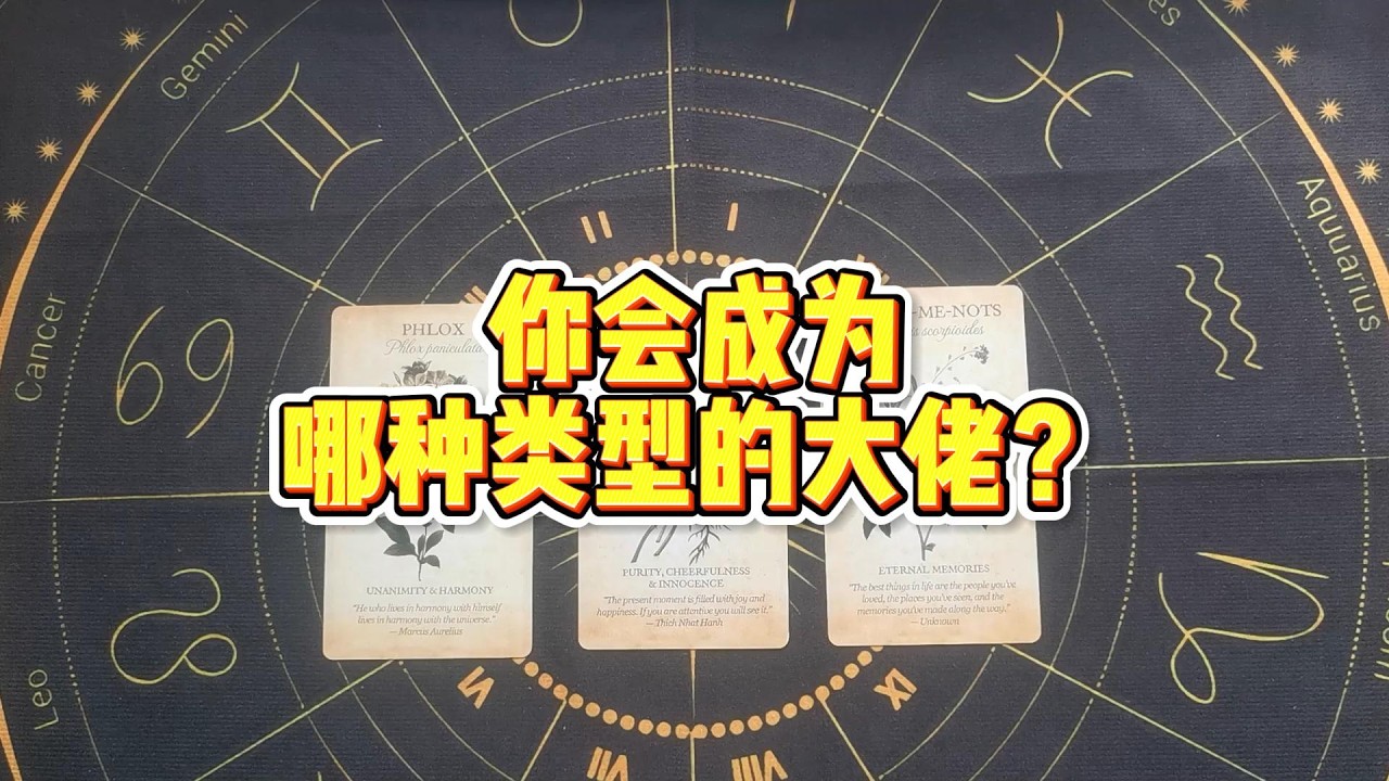 【塔羅牌占卜】你会成为哪种类型的大佬？