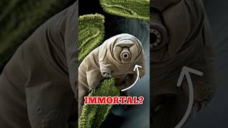 Top 3 Immortal Animals On Earth