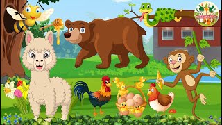 Lovely Animal Sounds: Chicken, Brown Bear, Alpaca, Monkey - Animal Videos