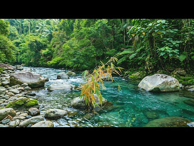 Natural River Ambience in the Forest 🌿 Relaxing White Noise