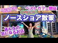 【悲報】今期最大のショック😭大好きなあのカフェが閉店…ハレイワ散策♪メンバーリクエスト店巡り🌺