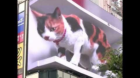Giant 3D Calico Cat on a Billboard in Tokyo Japan