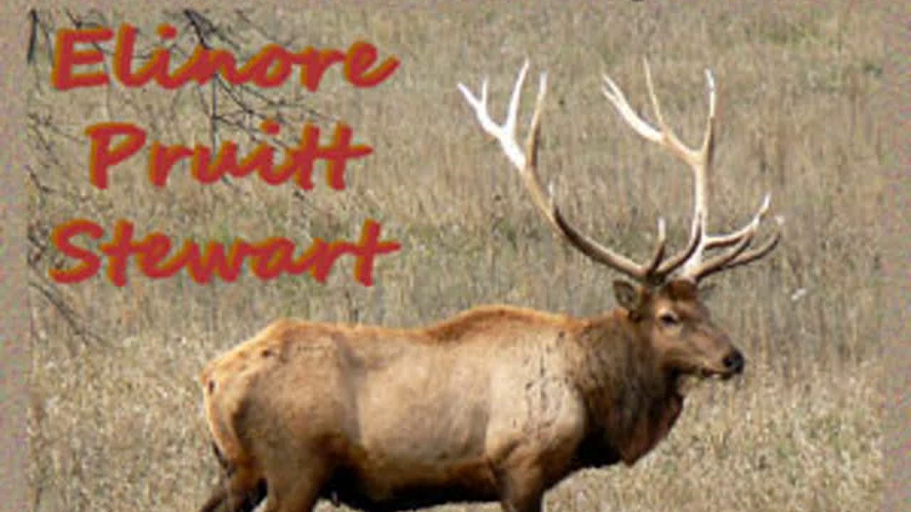 Letters on an Elk Hunt by Elinore Pruitt STEWART read by Various | Full Audio Book