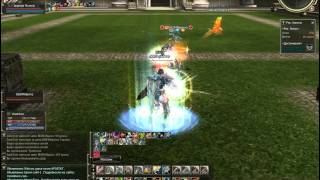 Lineage 2 Olympiad Phoenix Knight vs Shillien Templar.avi