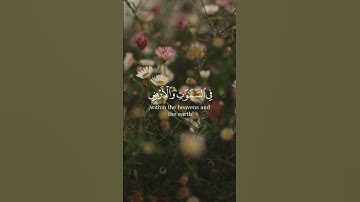 وجدتها وقوامها يسجدون للشمس/ياسر الدوسري/تلاوة خاشعة/تلاوة مؤثرة/تلاوة هادئة#قرآن