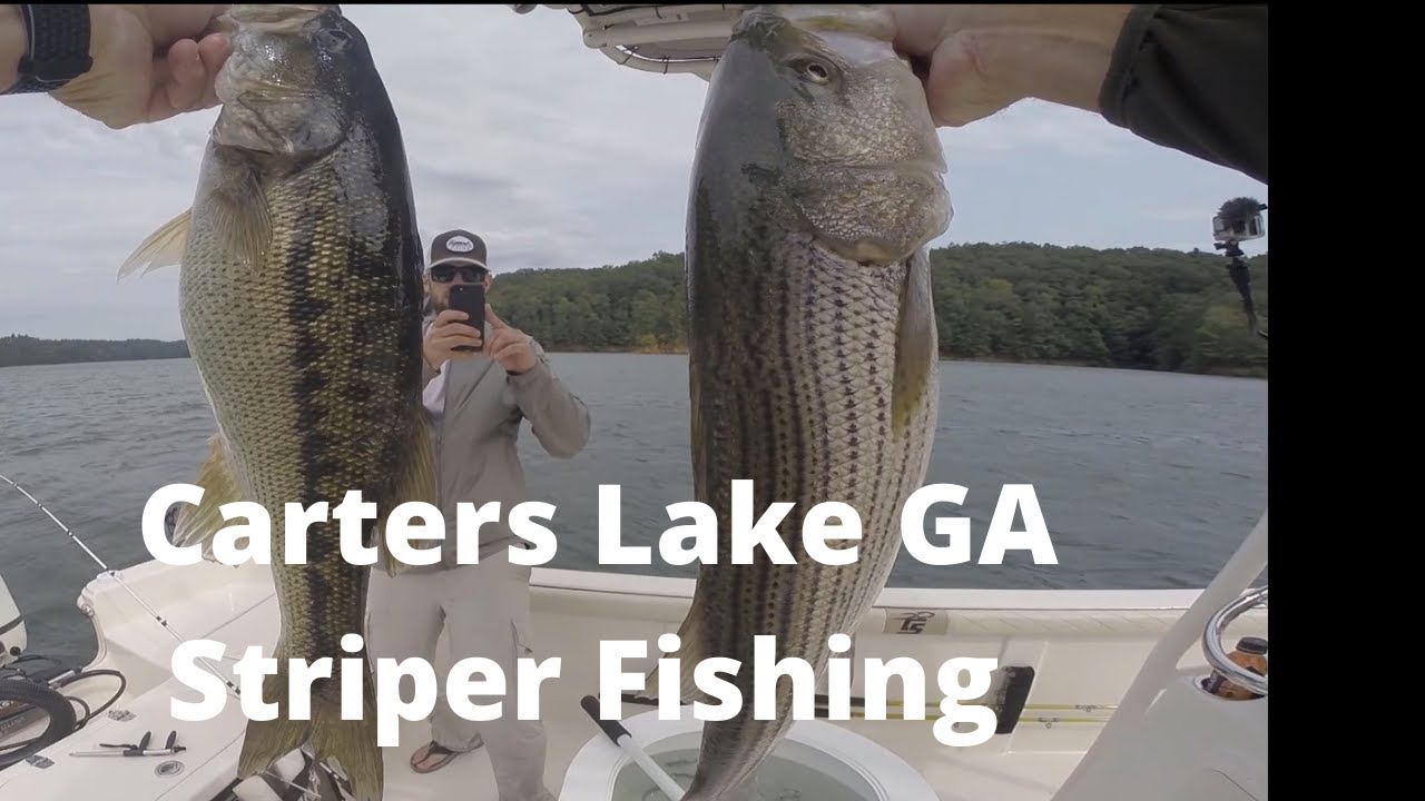 Striper Fishing Carters Lake GA - YouTube