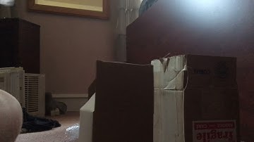 Simplex 2099-9754 T Bar Pull Station Unboxing