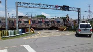 白沙屯媽祖彩繪列車特輯EMU520、EMU580(1.0版、2.0版)