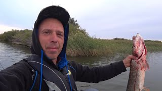 Осенняя рыбалка . Ловля Щук и окуней . Обкатал новый мотор !