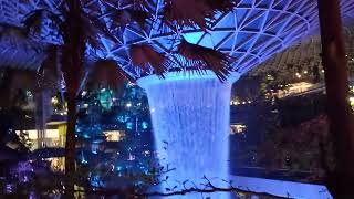 Tropical rainforest in Changi airport