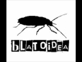 Blatoidea  warcode