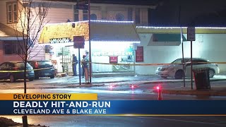 Celebrity Pedestrian killed in hit-skip crash Wealth