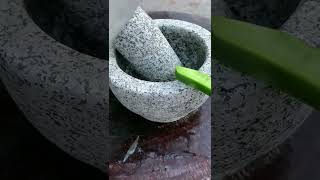 Ancient secret cactus paste  Cactus, folk method, ancient method inheritance