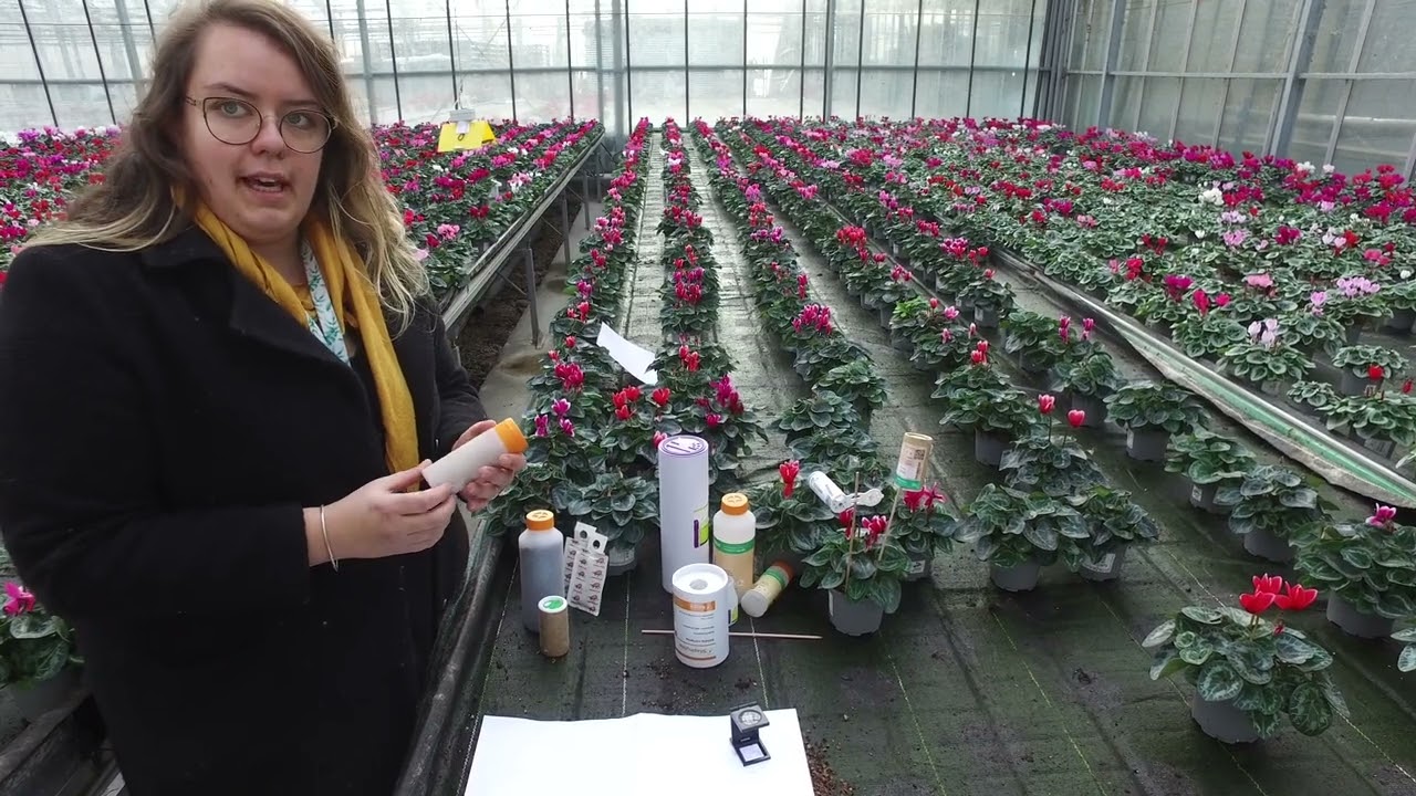 La Protection Biologique Intégrée en horticulture en Bourgogne-Franche-Comté