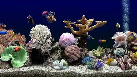 Relaxing ASMR Fish Tank | Aquarium Meditation | No Music Just Water sounds | 4 Hours