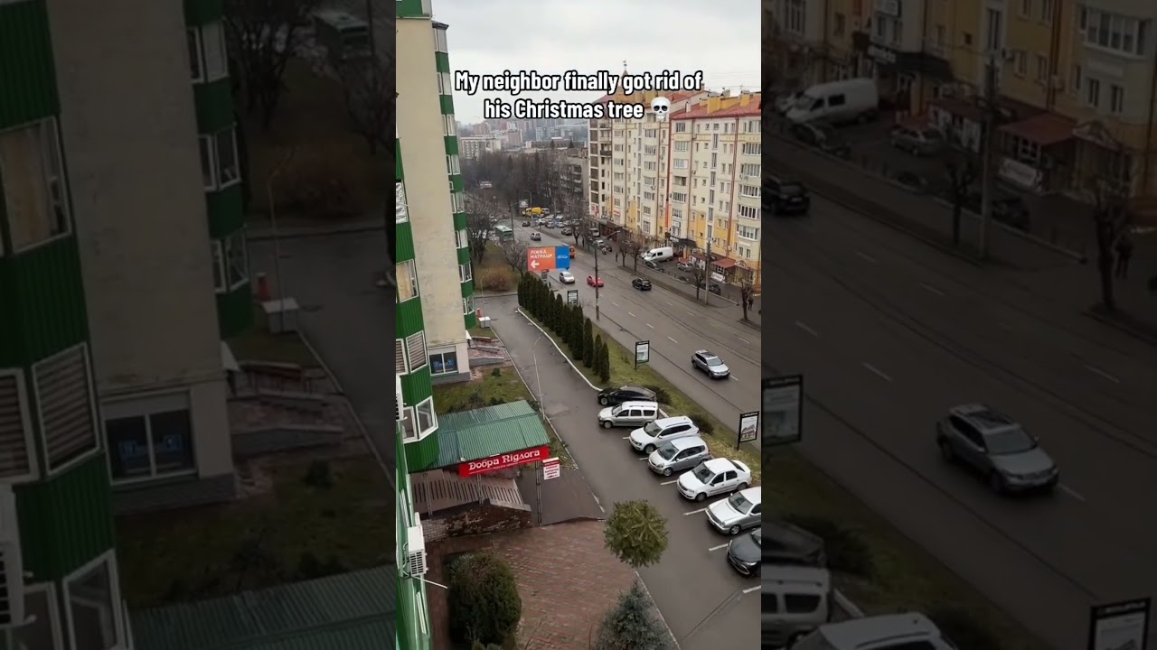 Christmas Tree Removal!