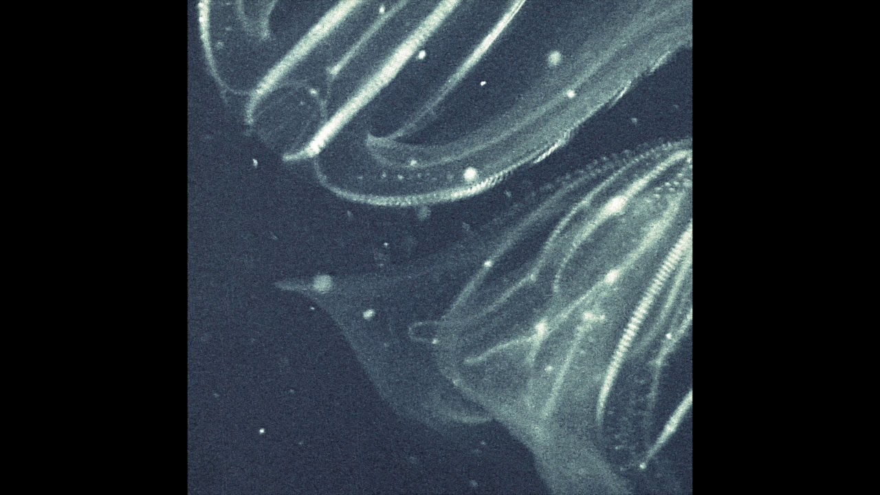 Saebius - Solar Lines (Daniel[i] Yellow Dub)