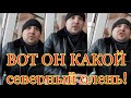 ВИДЕО/КОЛЛЕКТОР ПРИЕХАЛ В ГОСТИ/ПОЙМАЛИ КОЛЛЕКТОРА В ЛИФТЕ/Как не платить кредит/Кузнецов/Аллиам