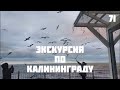 ⛵ Калининград экскурсия