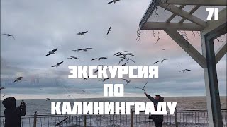 ⛵ Калининград экскурсия