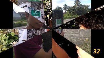 MMM Extra Offline Task - Sticking of Leaflets