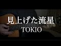見上げた流星 / TOKIO 弾き語り【covered by むぎお】