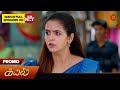 Kayal  special promo  16 may 2024   tamil serial  sun tv