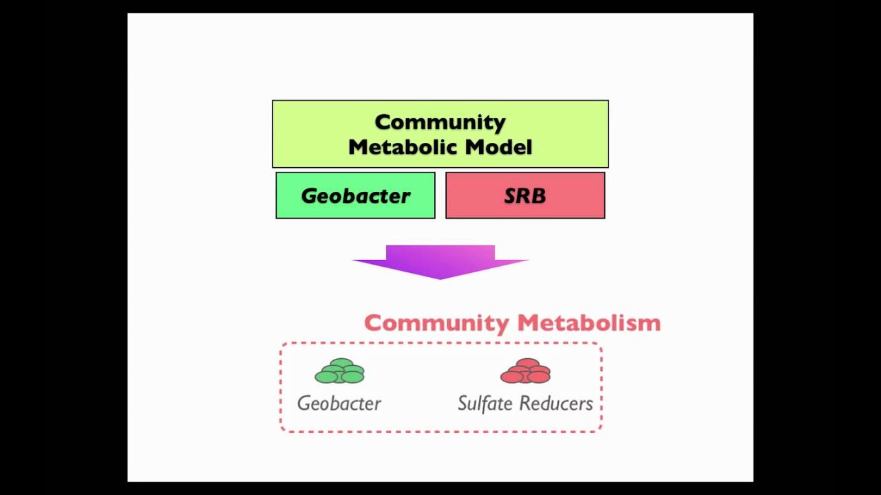 B&B: Model-based Design of Uranium Bioremediation